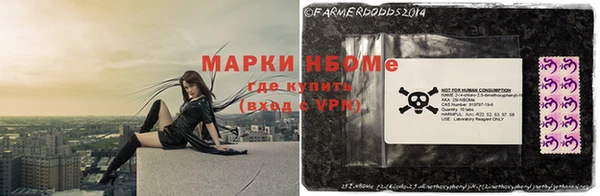 шишки Арсеньев