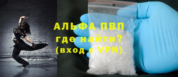 шишки Арсеньев