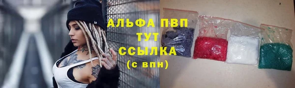 шишки Арсеньев