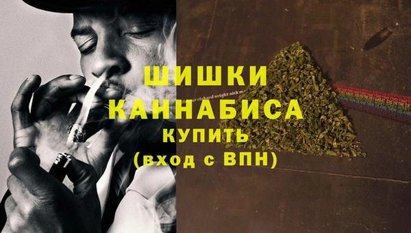 шишки Арсеньев