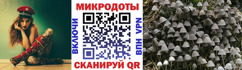 Галлюциногенные грибы Cubensis  гидра сайт  Фролово 