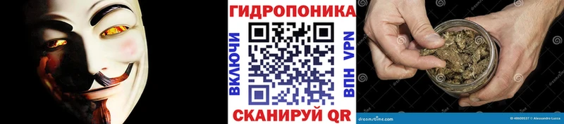 мега зеркало  Фролово  Канабис OG Kush 